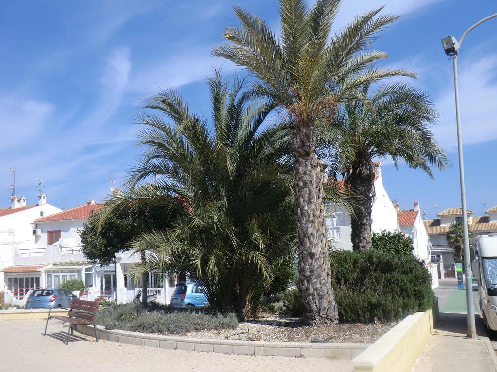 Casas Holiday - Playa La Mata 1 ตอร์เรเวียคา ภายนอก รูปภาพ